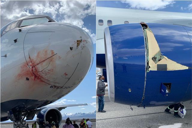 1617198837780077672.jpg 24.jpg